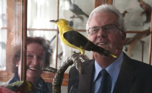 Gruppenbild mit Vogel: Das Ehepaar Spiecker und "ihr" Pirol. FOTO: mno